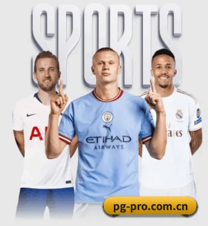 五大服务分区,信息按项目分类 - pg